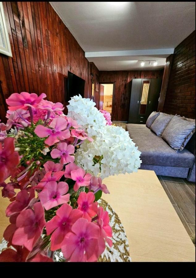 Petra Apartment Kolasin Ngoại thất bức ảnh